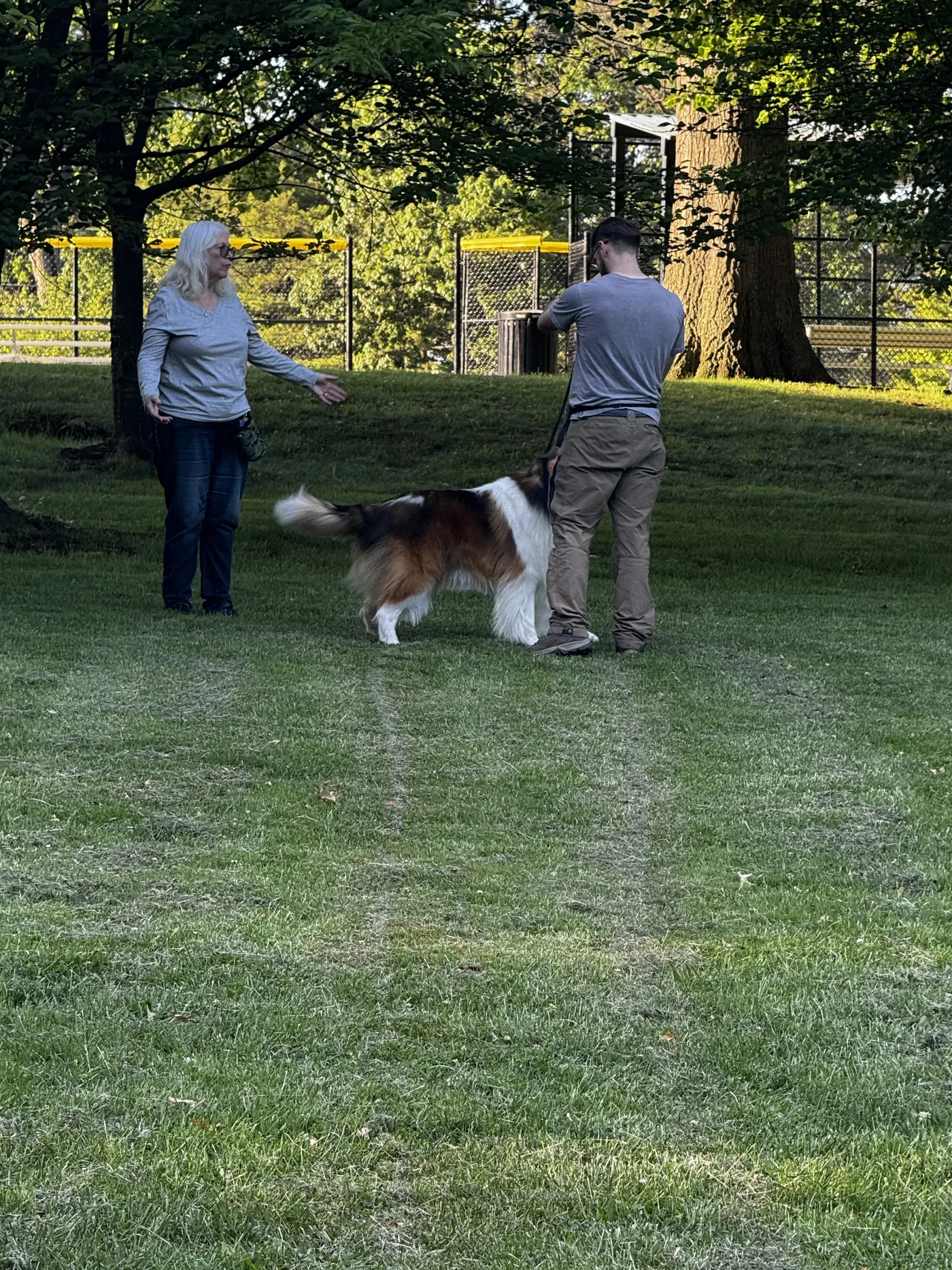 Dog training and Search and Rescue practice photo 4