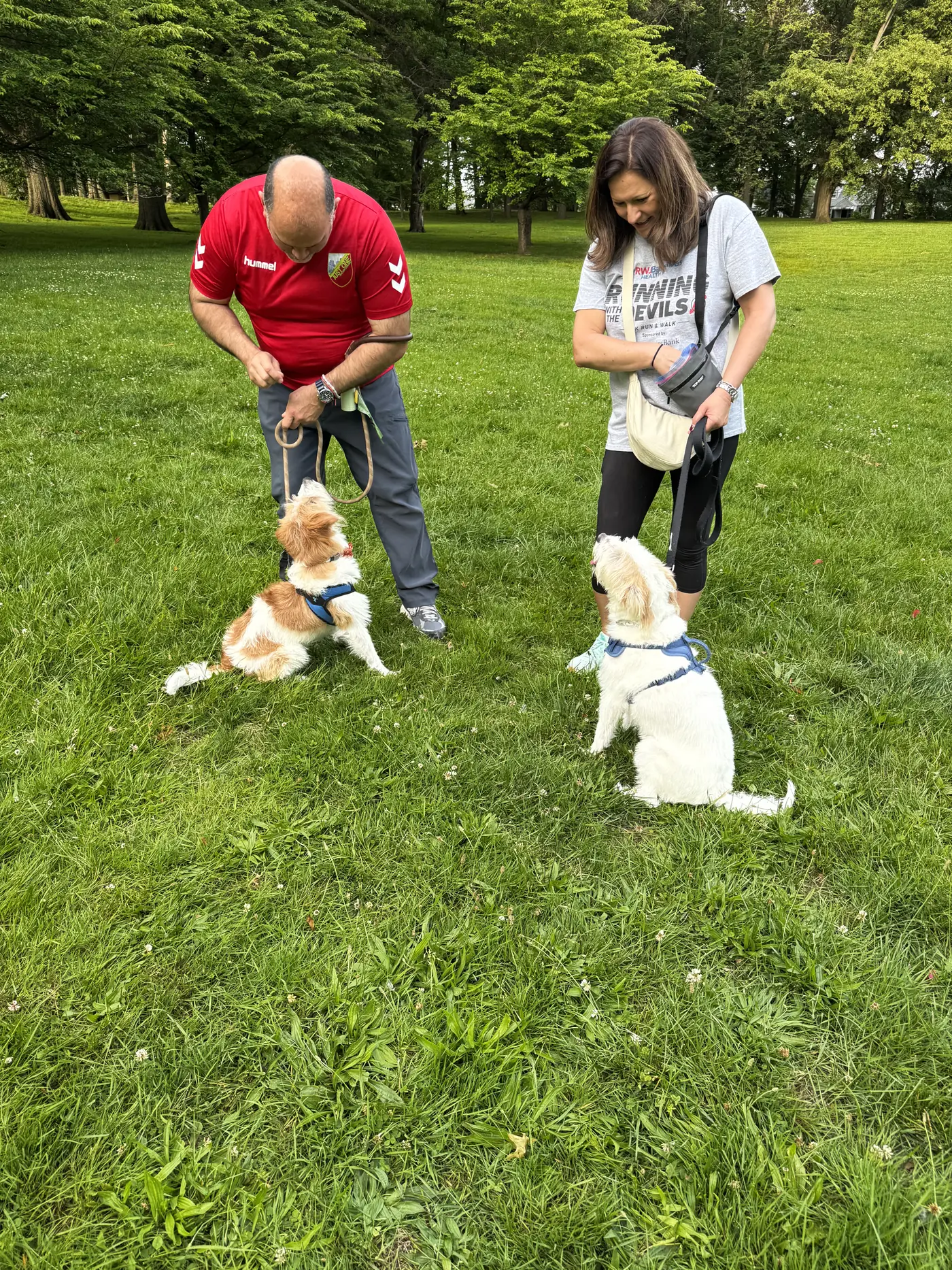 Handlers practicing focus with dogs in a Belleville Park group class