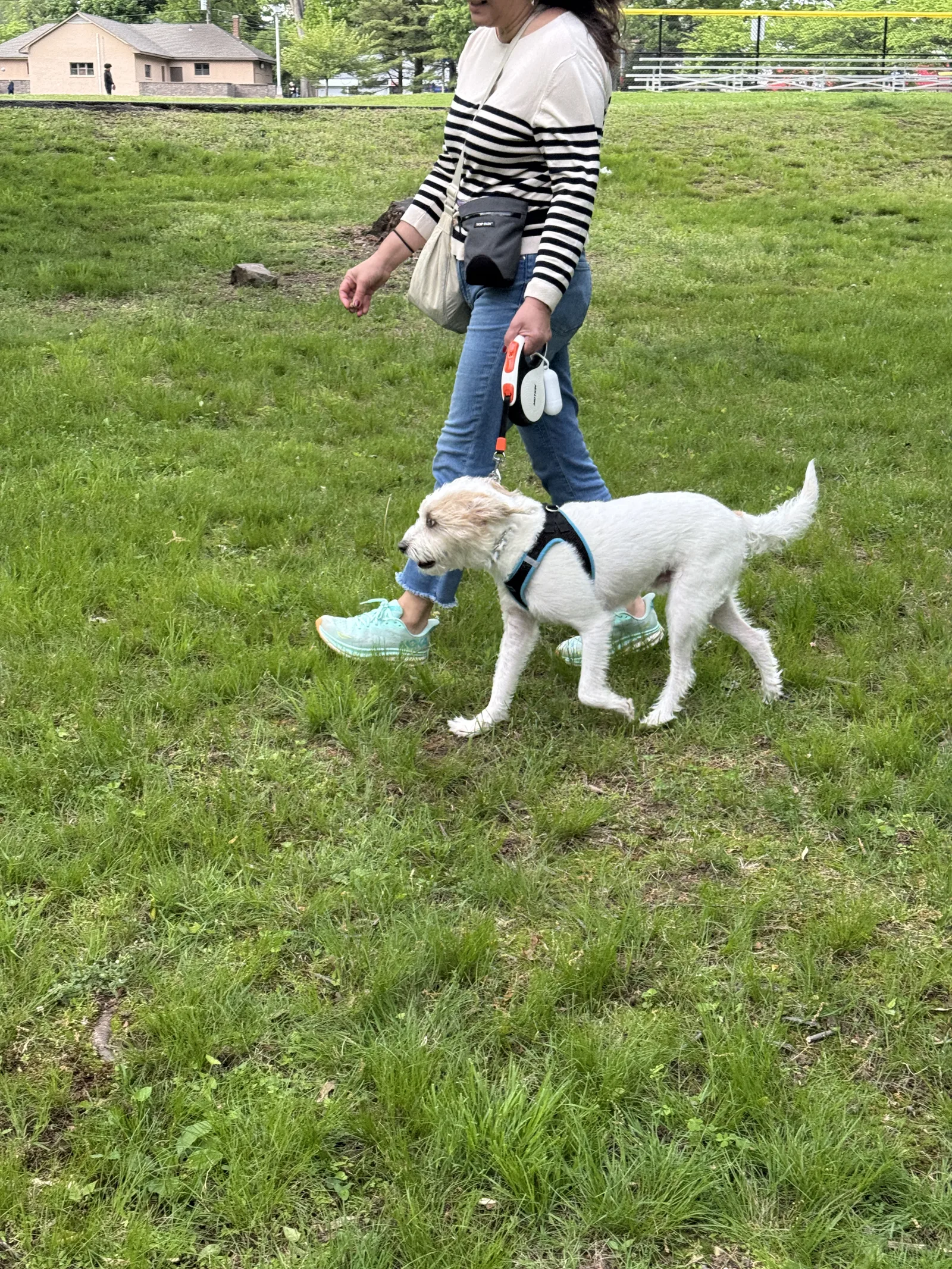 Dog training and Search and Rescue practice photo 7