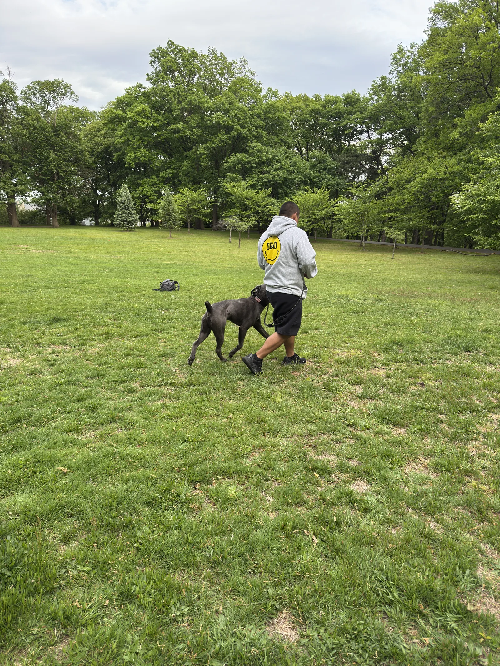 Dog training and Search and Rescue practice photo 8